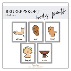 Body Parts Begreppskort | Teach Academy