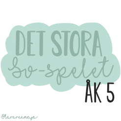 Det stora SO-spelet åk 5
