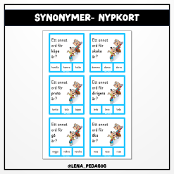 Synonymer - nypkort
