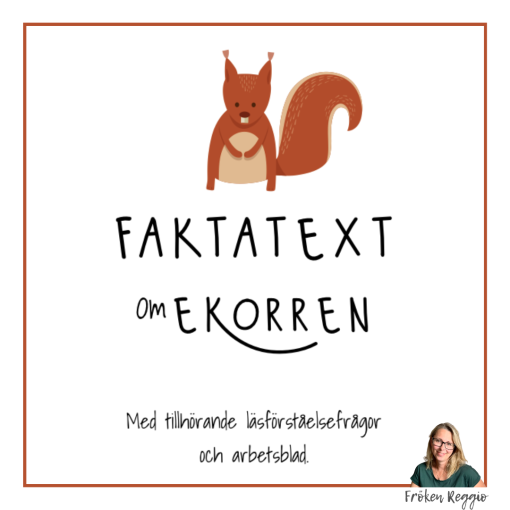 Faktatext om ekorren med läsförståelsefrågor