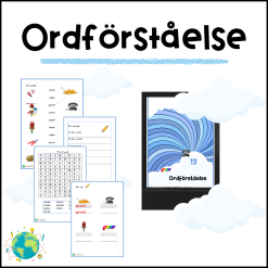 Ordförståelse 13