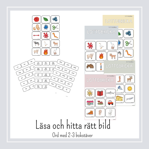 Läsa och hitta rätt bild. Ord med 2-3 bokstäver