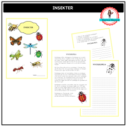 Insekter