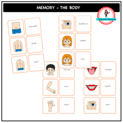 English memory - the body