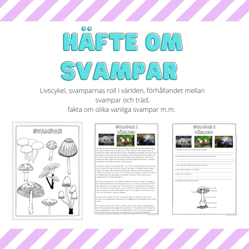 Svampar - ett arbetshäfte