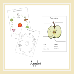 Arbetsblad, Äpplet