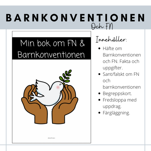 FN och barnkonventionen