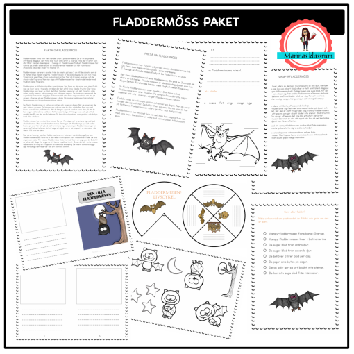 Allt om fladdermöss - materialpaket