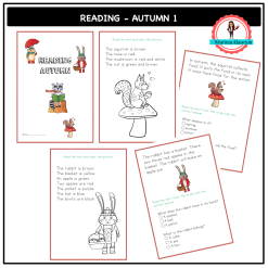 Reading - autumn 1