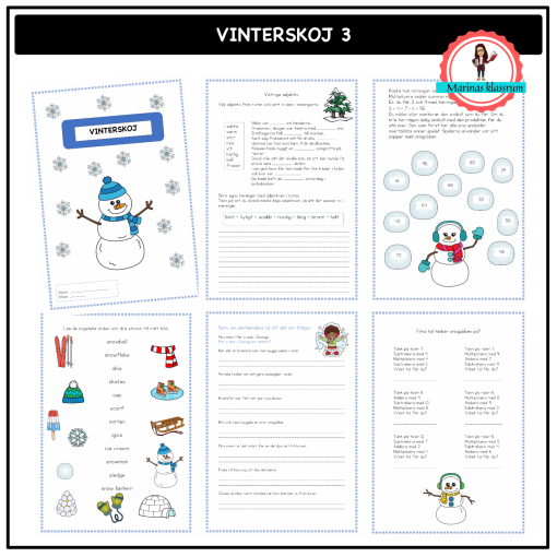 Vinterskoj 3