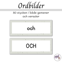 Ordbilder med gemener och versaler