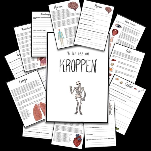 Kroppen - läsförståelsepaket