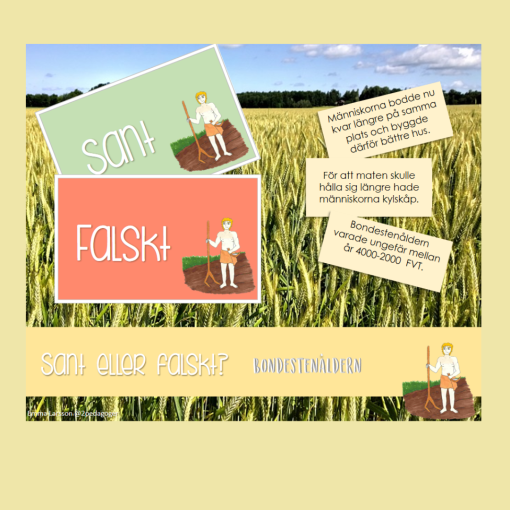 Sant eller falskt? - Bondestenåldern