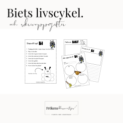 Biets livscykel