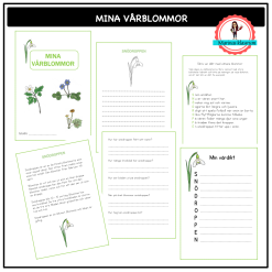 Mina vårblommor