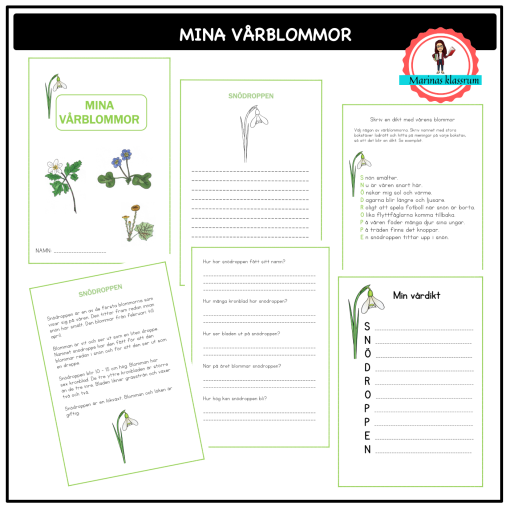 Mina vårblommor