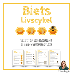 Biets livscykel