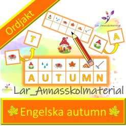 Engelska Autumn ordjakt