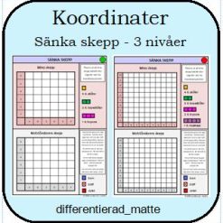 Koordinater - sänka skepp i 3 nivåer