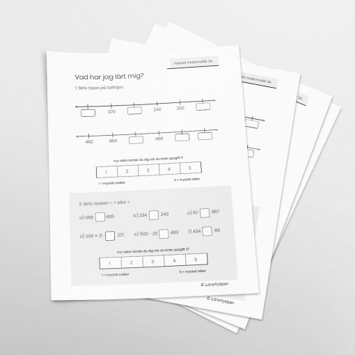 Favorit matematik 3A - terminstest