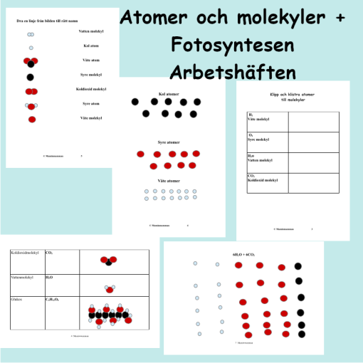 Atomer och Molekyler + Fotosyntesen