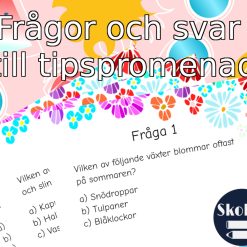 Tipspromenad - Sommartema, Växter - A5