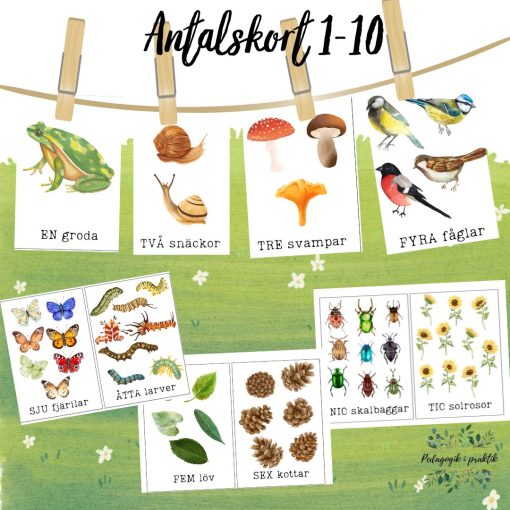Antalskort 1-10