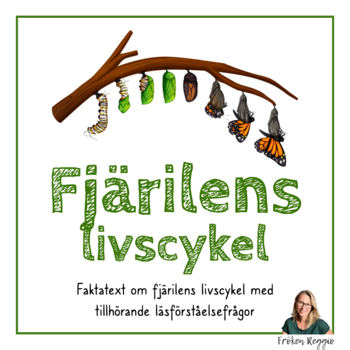 Fjärilens livscykel