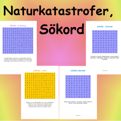 Naturkatastrofer Sökord