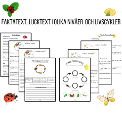 Insekter - faktatext, lucktexter, livscykler