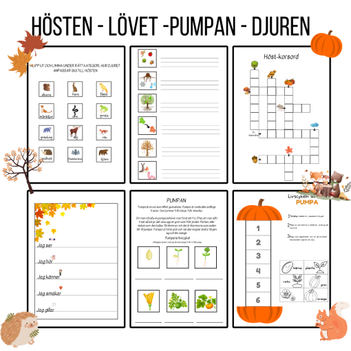 Hösten, lövet, pumpan och djuren