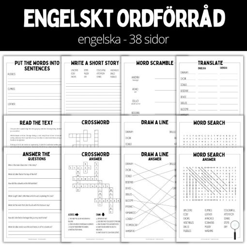 Arbetshäfte 1 - 38 sidor - engelskt ordförråd