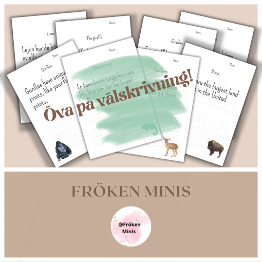 Välskrivning svenska och engelska (nivå lätt /medel)