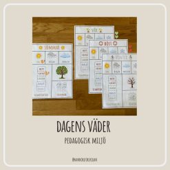Dagens väder