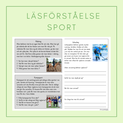 Läsförståelse sport