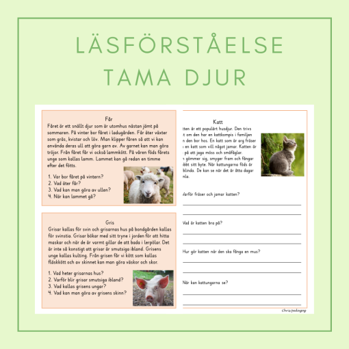 Läsförståelse tama djur