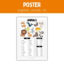 Poster - engelska - animals - A3