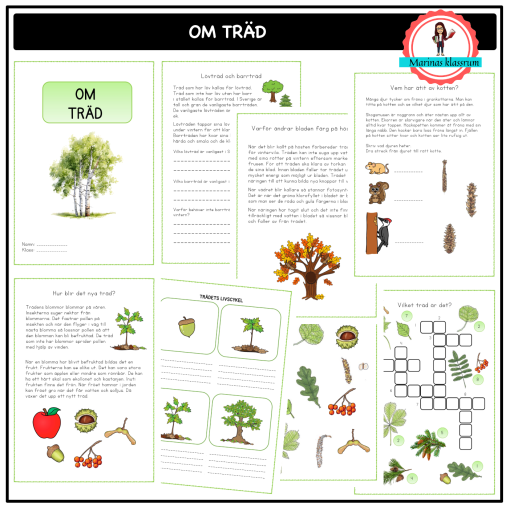 Om träd