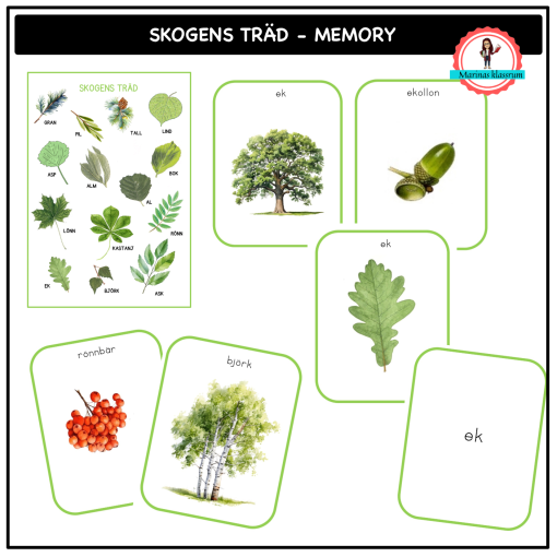 Skogens träd - memory - finns i sjön