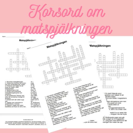 Korsord och ordsök om matspjälkningen