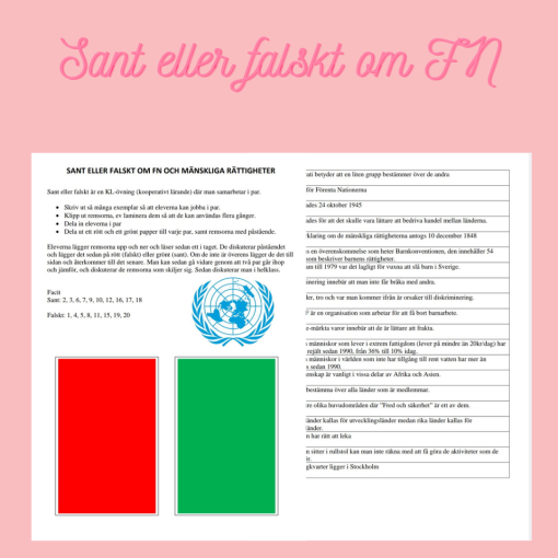 Sant eller falskt om FN och mänskliga rättigheter