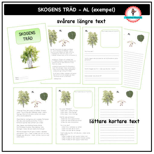 Skogens träd - al (ett exempel)