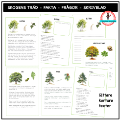 Skogens träd - lättare fakta - frågor - skrivblad
