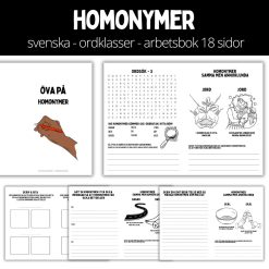 Öva på homonymer - arbetsbok - 18 sidor