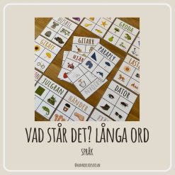 Vad står det? långa ord