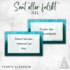 Sant eller falskt julen