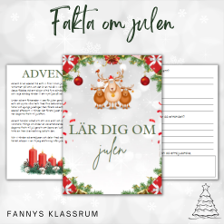 Fakta om julen- faktatexter med läsförståelsefrågor