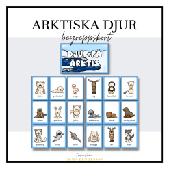 Arktiska djur begreppskort