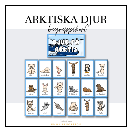 Arktiska djur begreppskort