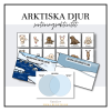 Arktiska djur - sorteringsaktivitet